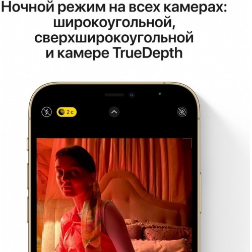 Apple iPhone 12 Pro Max 128GB (серебристый) фото 4