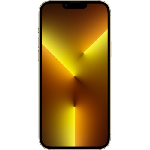 Apple iPhone 13 Pro Max 1TB (золотой) фото 2