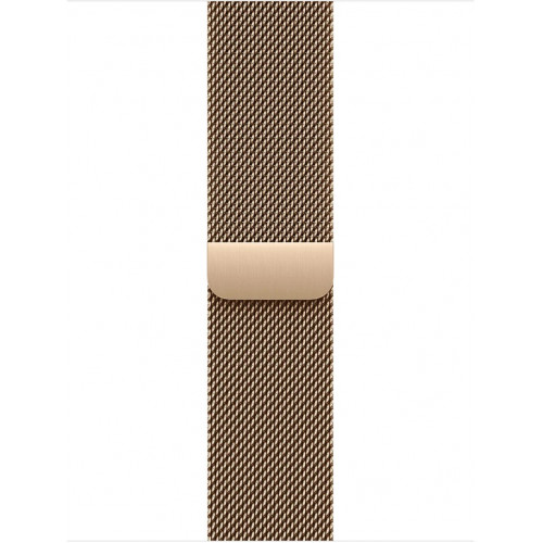 Apple Watch Series 11 LTE 42 мм (титановый корпус, природный/золотистый, миланская петля) фото 3