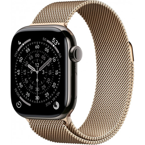 Apple Watch Series 11 LTE 46 мм (титановый корпус, сланец/золотистый, миланская петля)