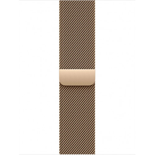 Apple Watch Series 11 LTE 46 мм (титановый корпус, сланец/золотистый, миланская петля) фото 3
