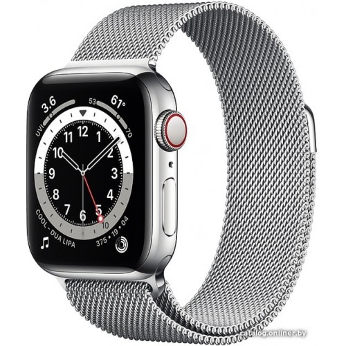 Apple Watch Series 6 LTE 40 мм (сталь серебристый/миланский серебро) фото 1