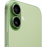 Apple iPhone 17 Dual SIM 512GB (зеленый) фото 3