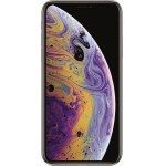 Apple iPhone XS 512GB (серебристый) фото 1