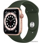 Apple Watch Series 6 LTE 44 мм (сталь золотистый/зеленый спортивный) фото 1